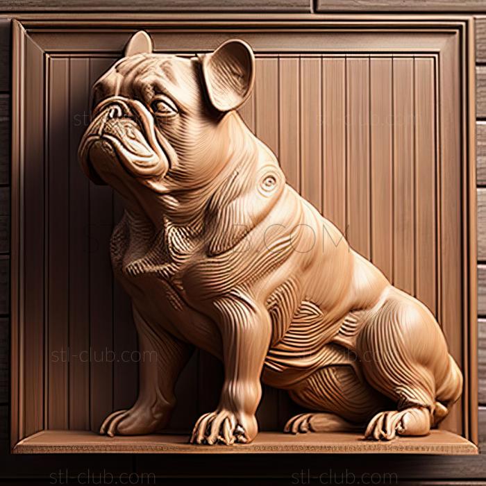 st French Bulldog dog